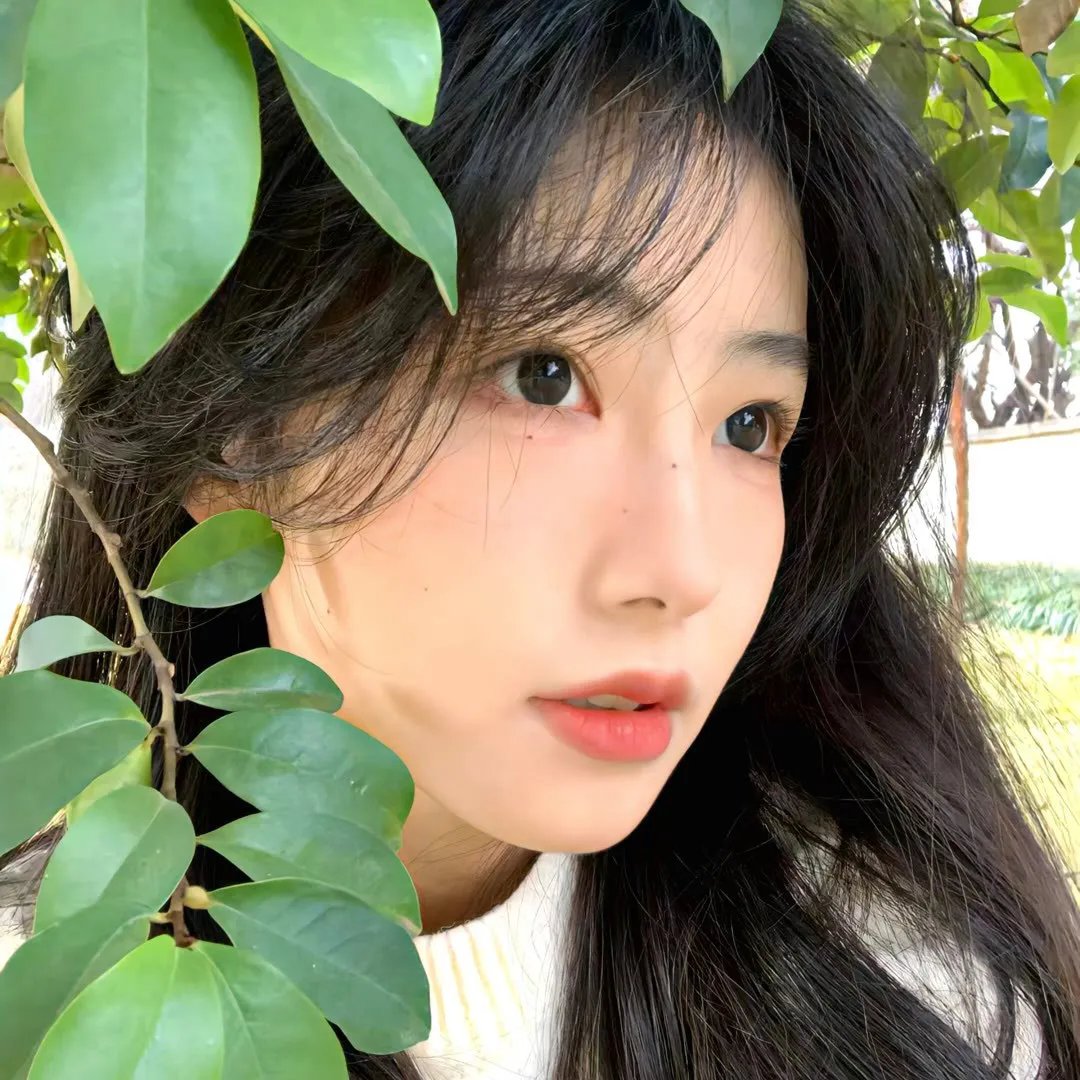 小楼昨夜又春风